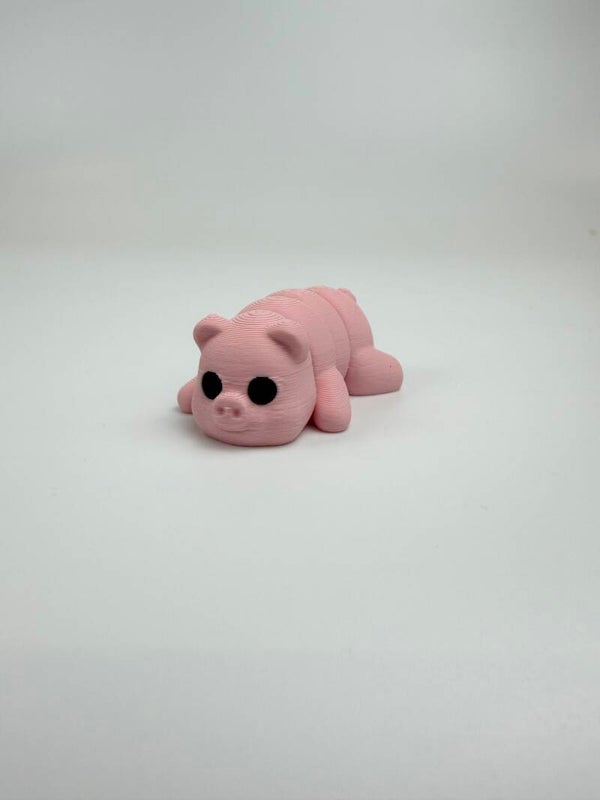 Mini Pig