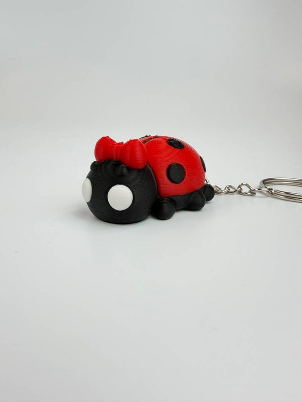 Sleutelhanger Ladybug her