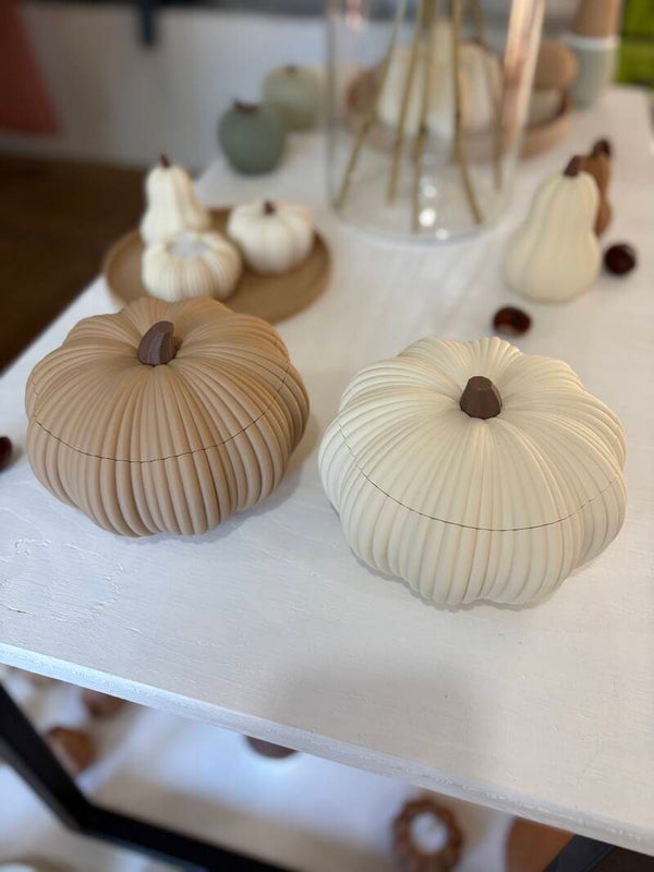 Pompoen deco pot