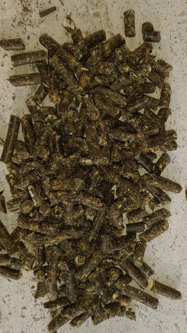 JOY FORTE, MANGIME COMPLEMENTARE PER CONIGLI E PICCOLI RODITORI D'AFFEZIONE