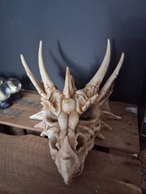 Draken Schedel Groot