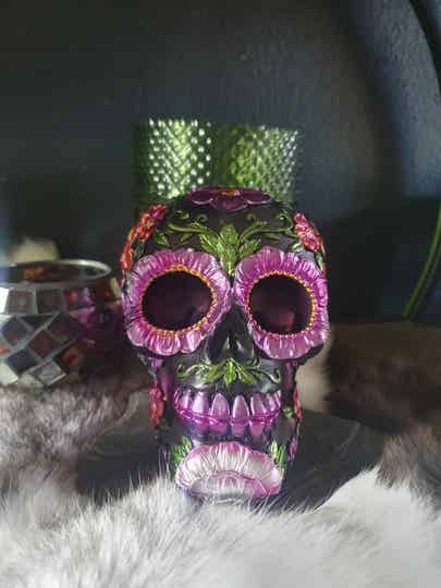 Dia de los Muertos Mexicaans Doodshoofd Margriet