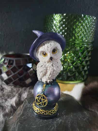 Wise Old Magical Owl B