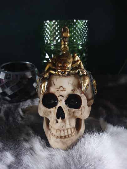 Schorpioen Skull