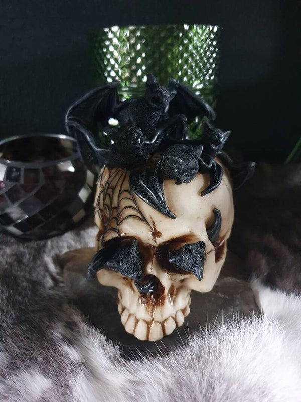Vleermuis Skull