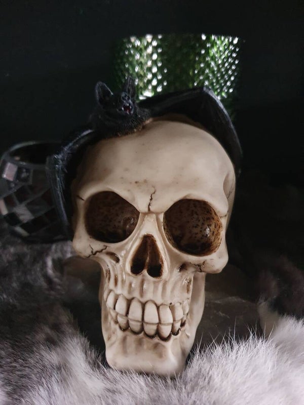 Vleermuis Skull