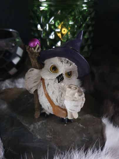 Witch Owl