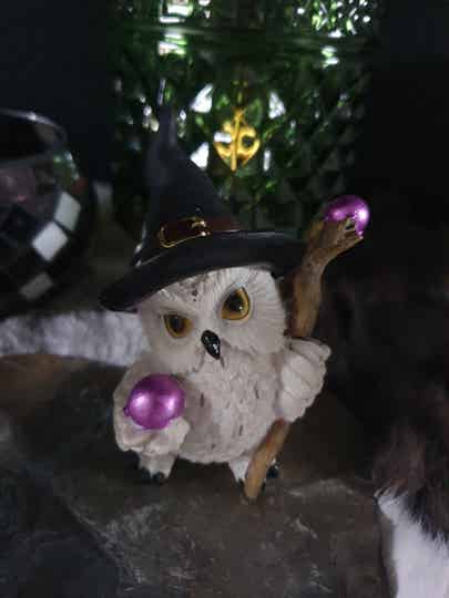 Witch Owl