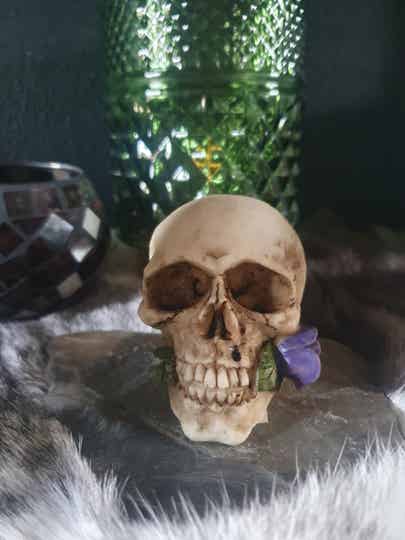 Skull met Paarse Roos