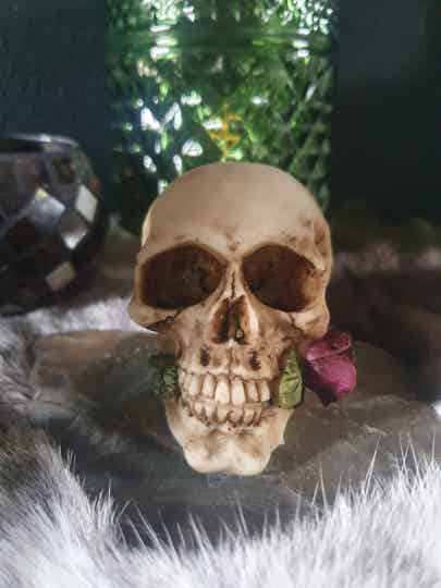 Skull met Rode Roos