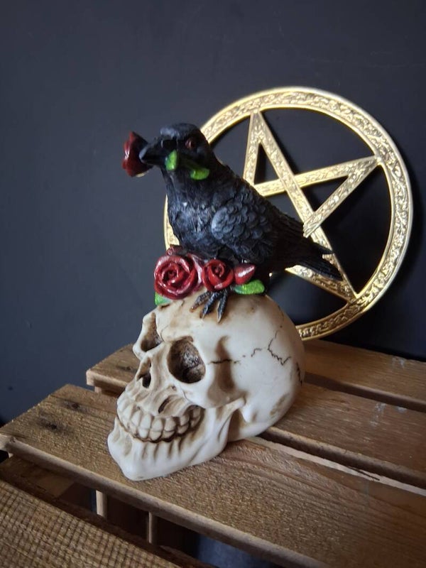 Puckator - Schedel met Raaf