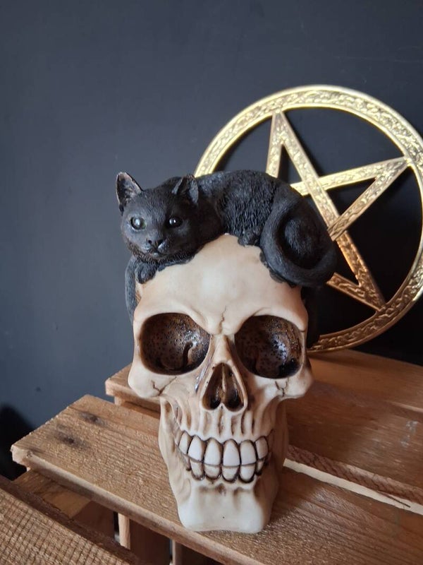 Puckator - Schedel met Zwarte Kat