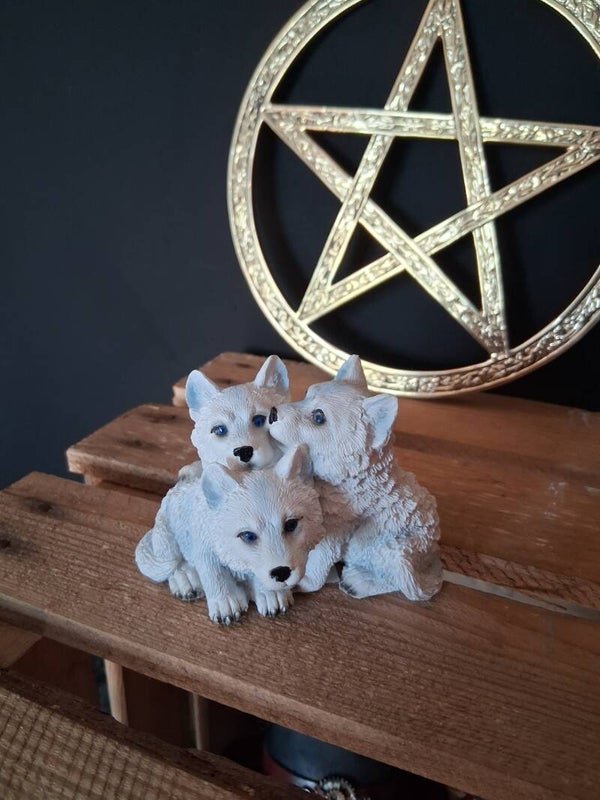 Wolf Trio Puppy