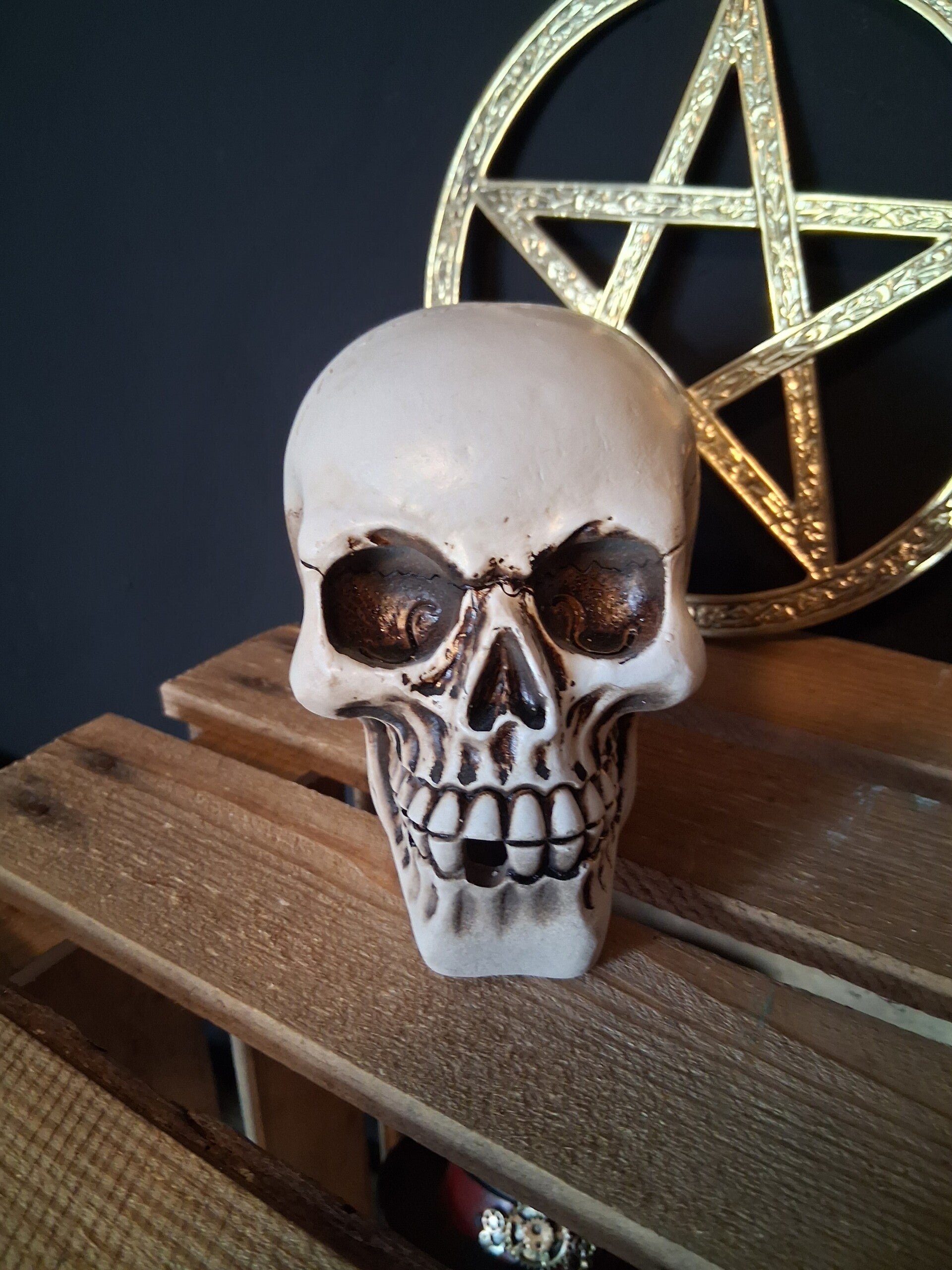 Skull Backflow