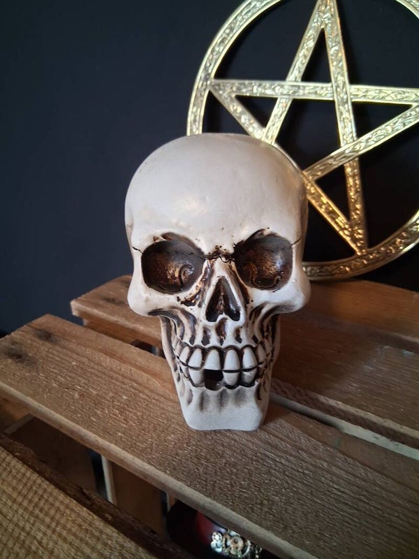 Skull Backflow