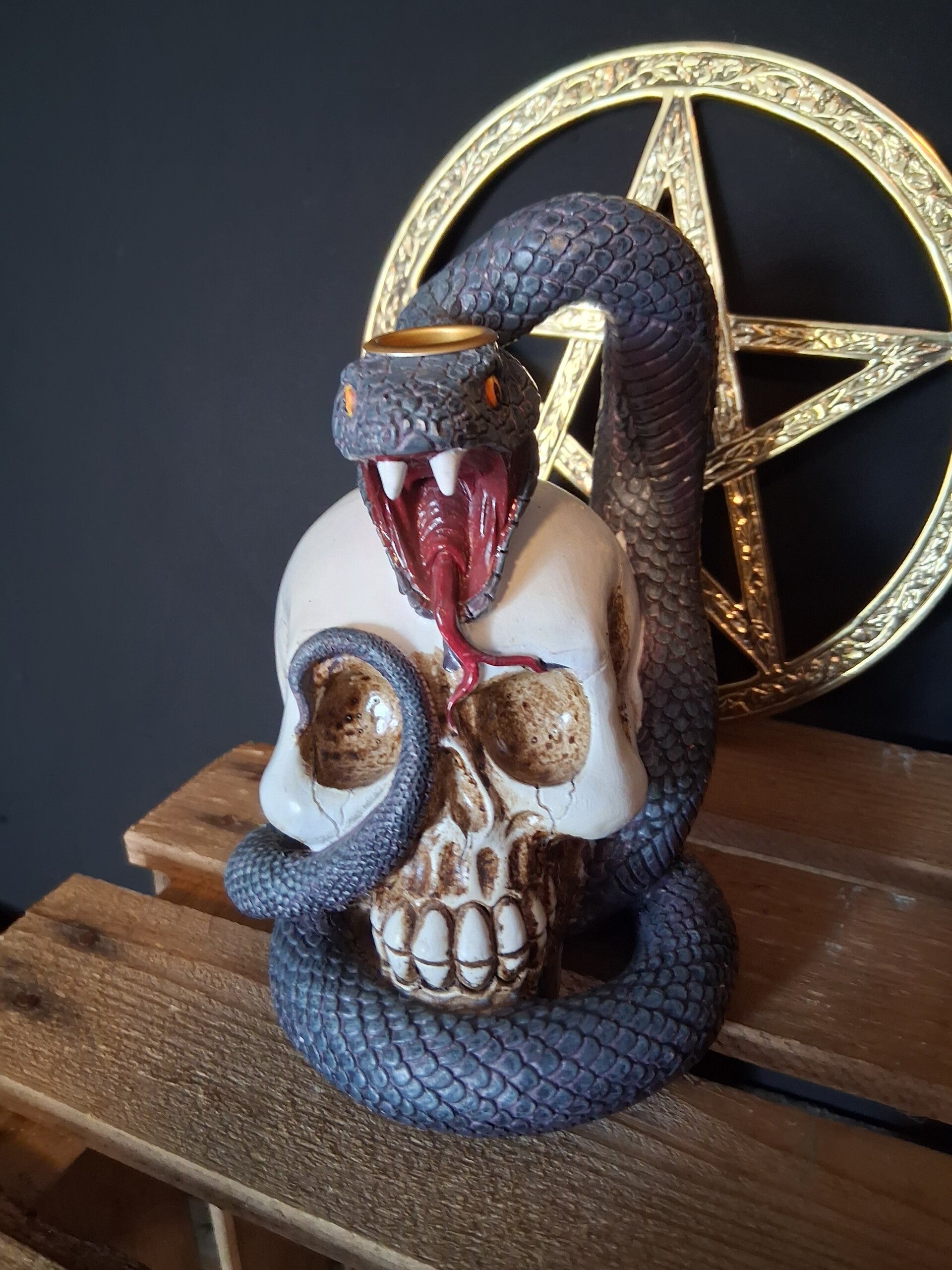 Snake Skull Backflow