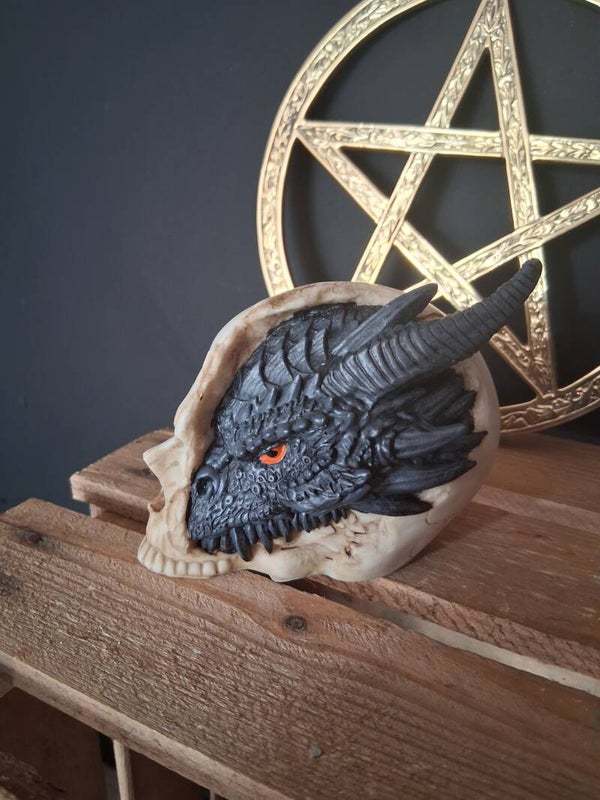 Dragon Skull