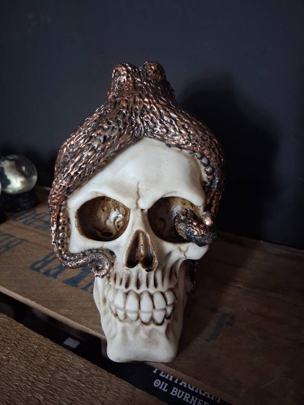 Octo Skull