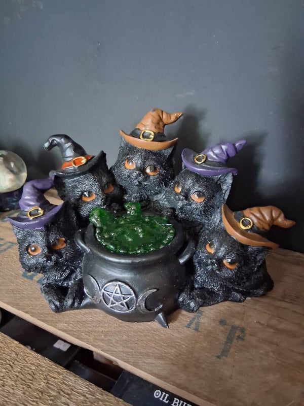Heksen Zwarte Katten