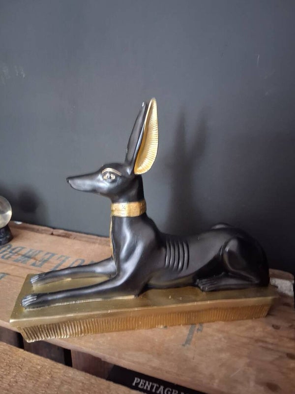 Anubis Groot