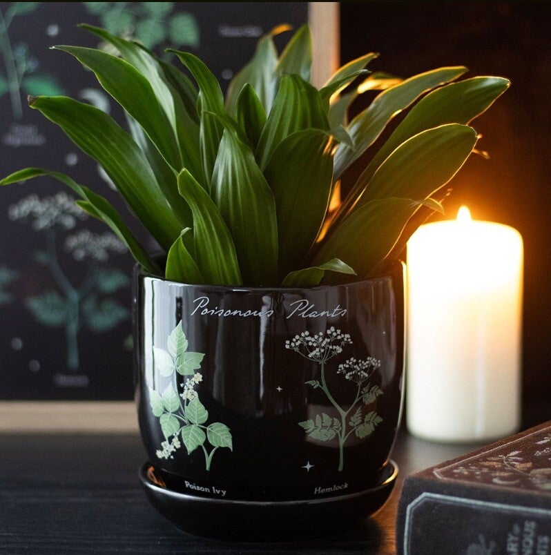 Poisonous Planten Pot