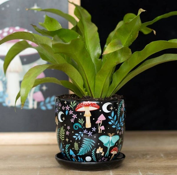 Dark Forrest Planten Pot