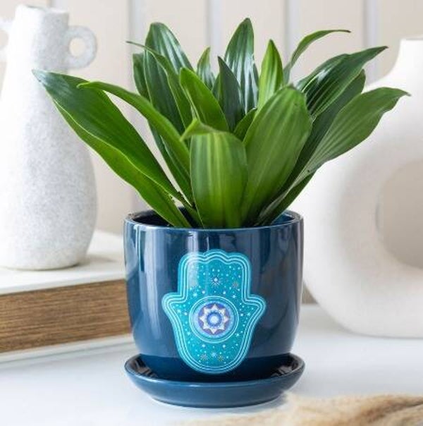 Hand of Hamsa Plantenpot