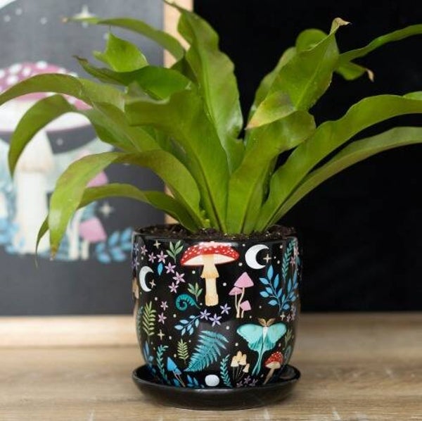 Dark Forrest Plantenpot