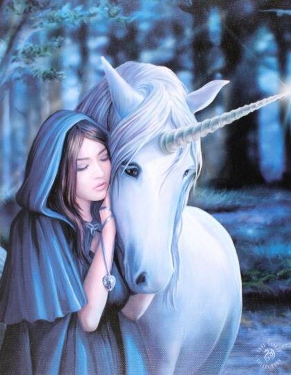 Maunted Unicorn Canvas