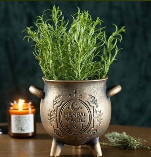 Herbal Magic Cauldron Pot