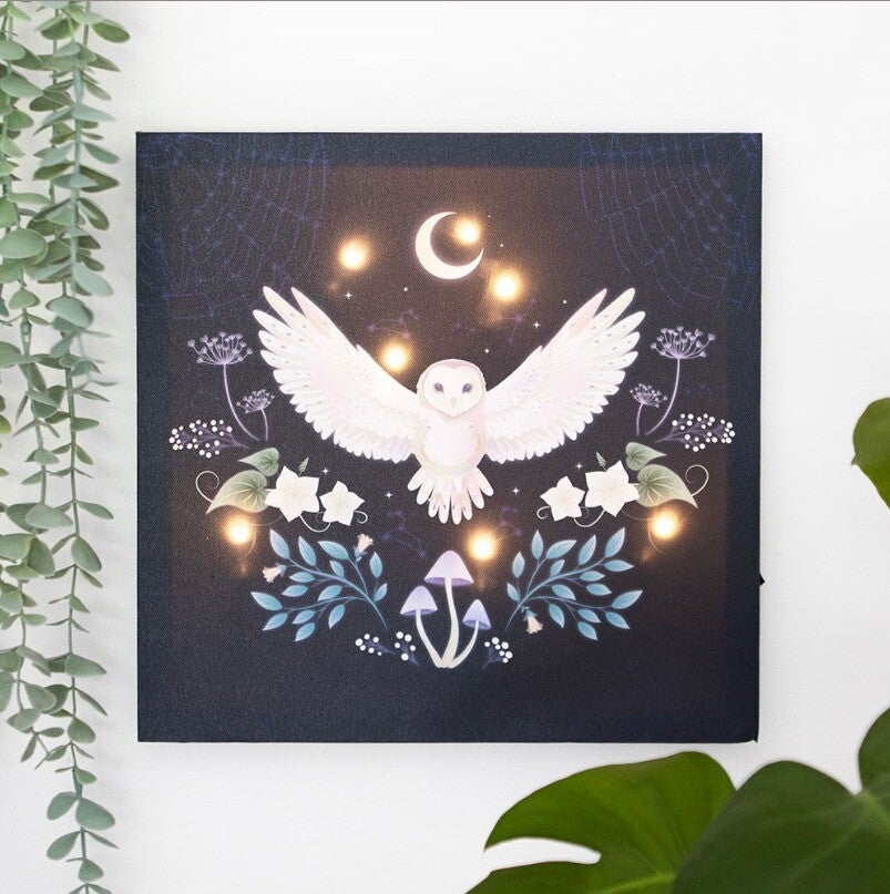 Night Owl Led Canvas