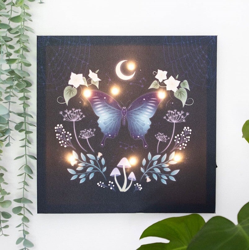 Midnight Moth Led Canvas