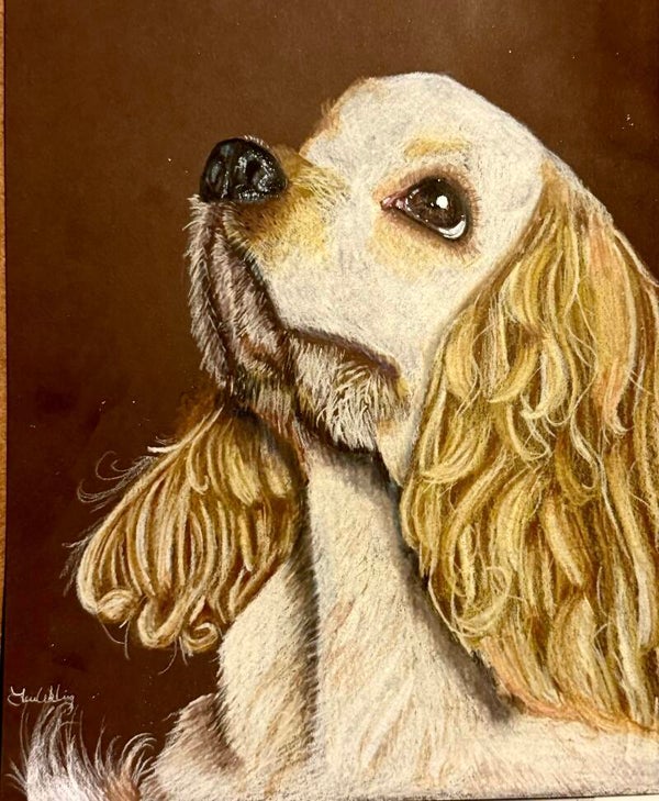 Pet Portrait
