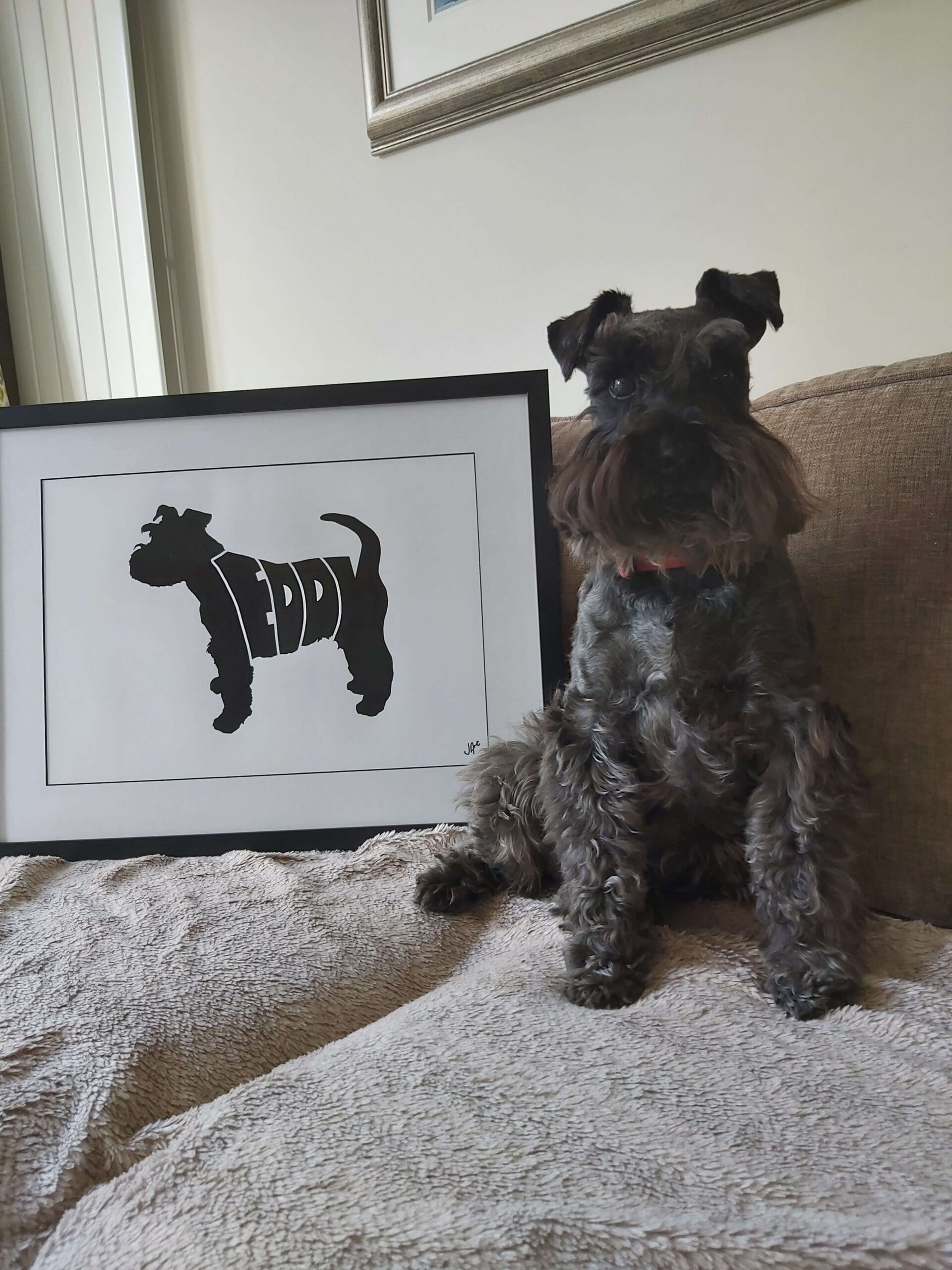 A real-life Schnauzer named Teddy sitting on a tan sofa next to his bespoke portrait. The black-framed artwork features a matching black silhouette of a Schnauzer with the name "TEDDY" hand-lettered to create the middle of the dog's body.