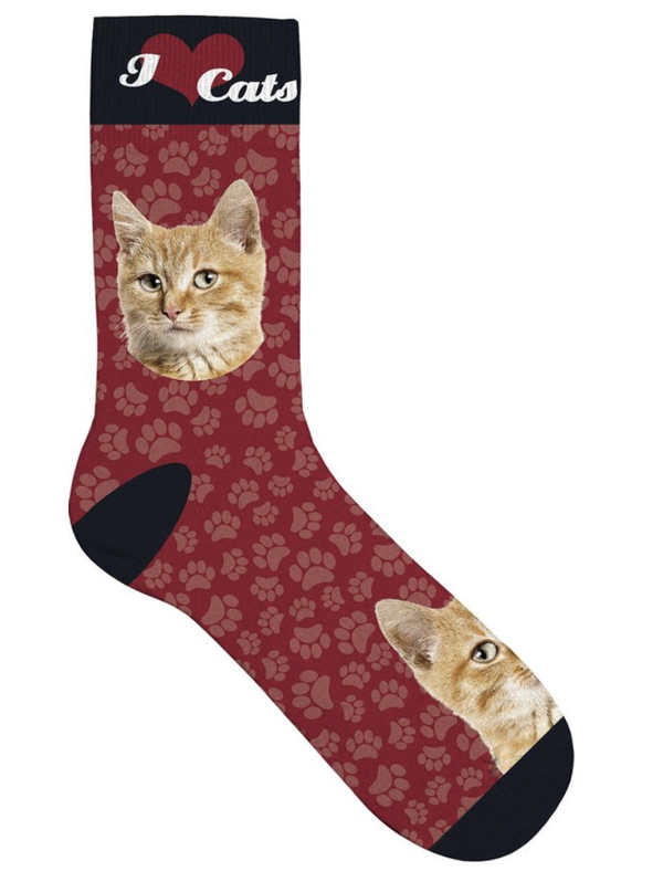 Orange Tebby pet socks maat 31/36