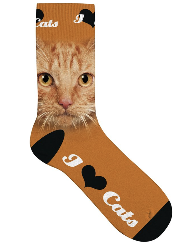 Orange cat eyes pet socks maat 31/36
