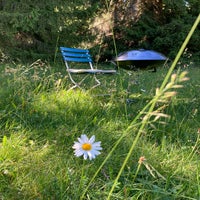 img-20250628-wa0052-standard.jpg