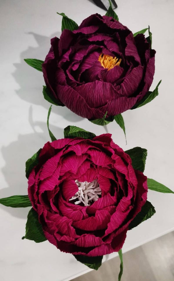 PEONIE COLORE ROSSO SCURO