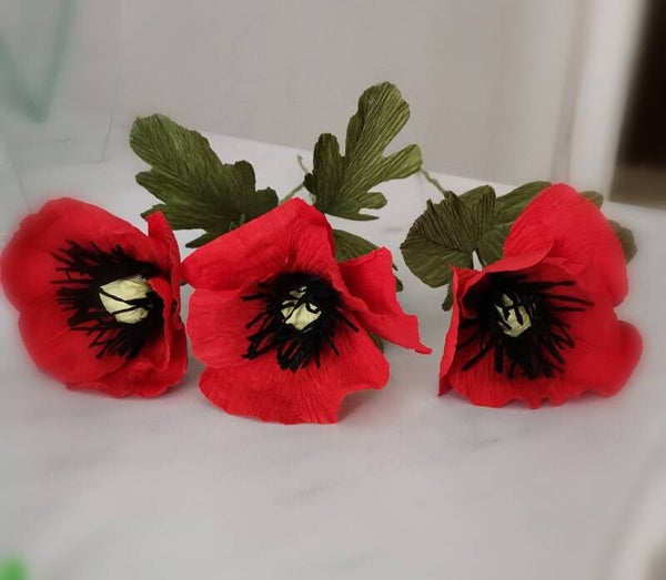 PAPAVERO ROSSO