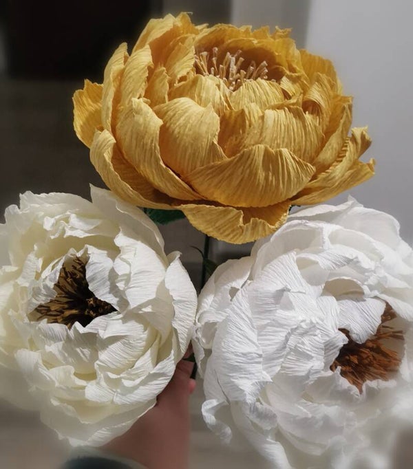 PEONIE COLORE GIALLO/ CREMA/ BIANCO