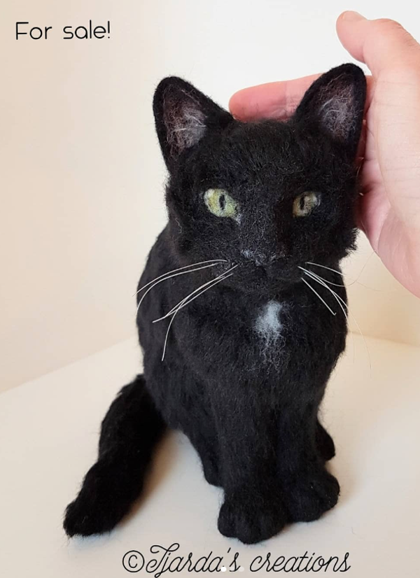 Genaaldvilte zwarte kat met vlekje