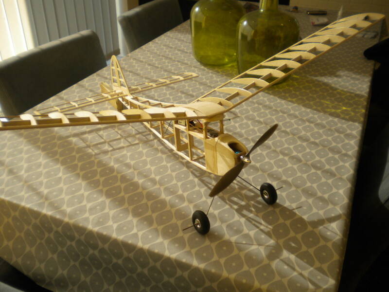 010-standard.jpg