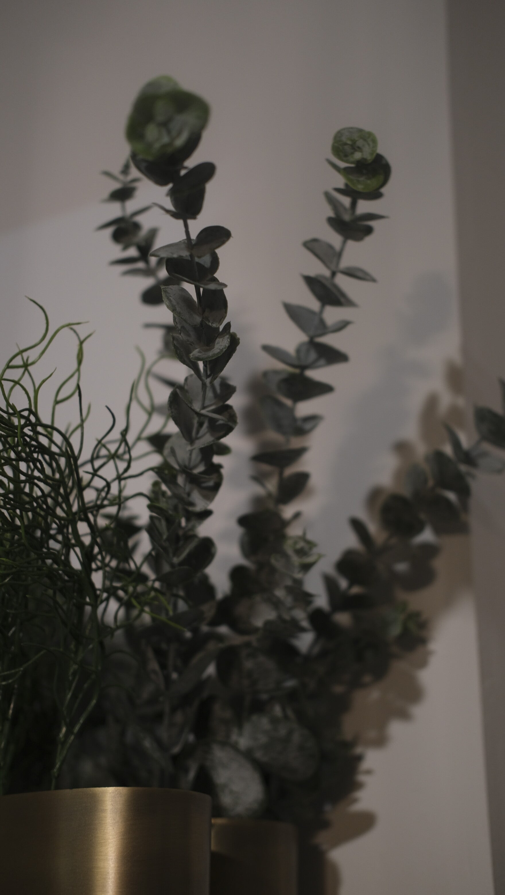 Gałązki eukaliptus sztuczny