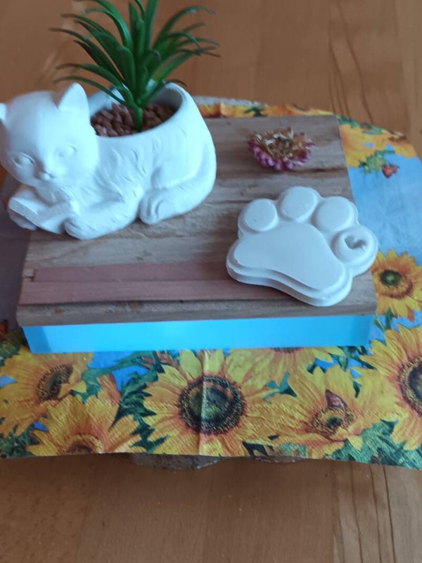 Katzenblumentopf mit Pfote