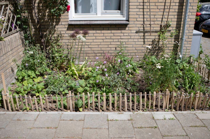 foto_anjes-gesink-1703-2-standard.jpg