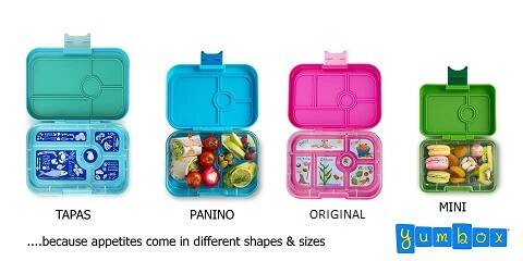 4types-smaller-4.jpg?enable-io