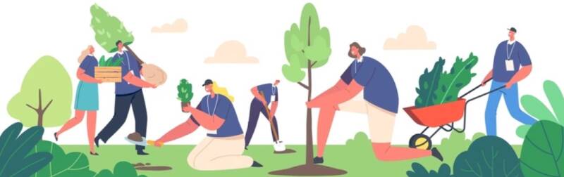 Creando el Olivar Viu