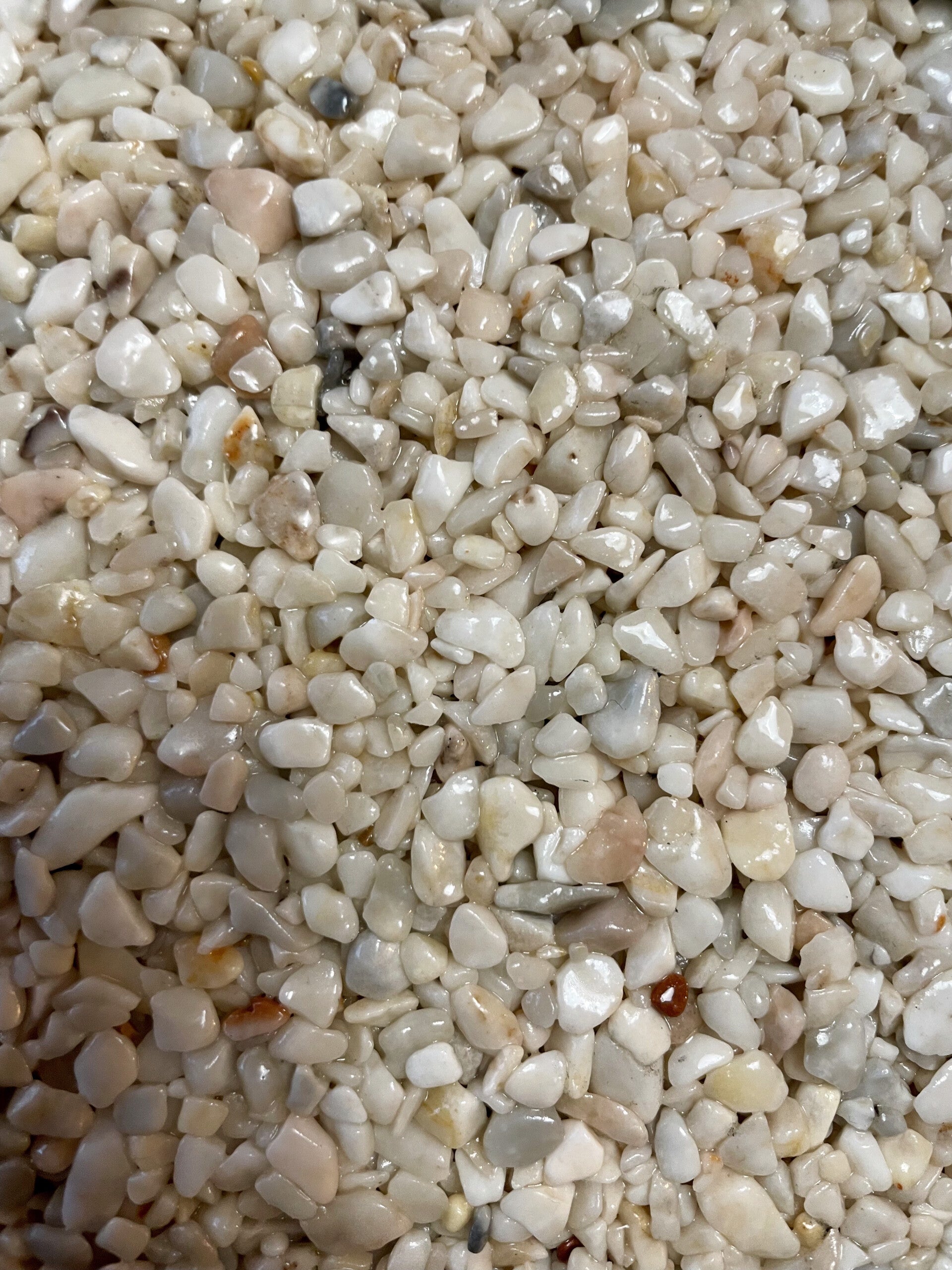 BLANC LEZ 2.5