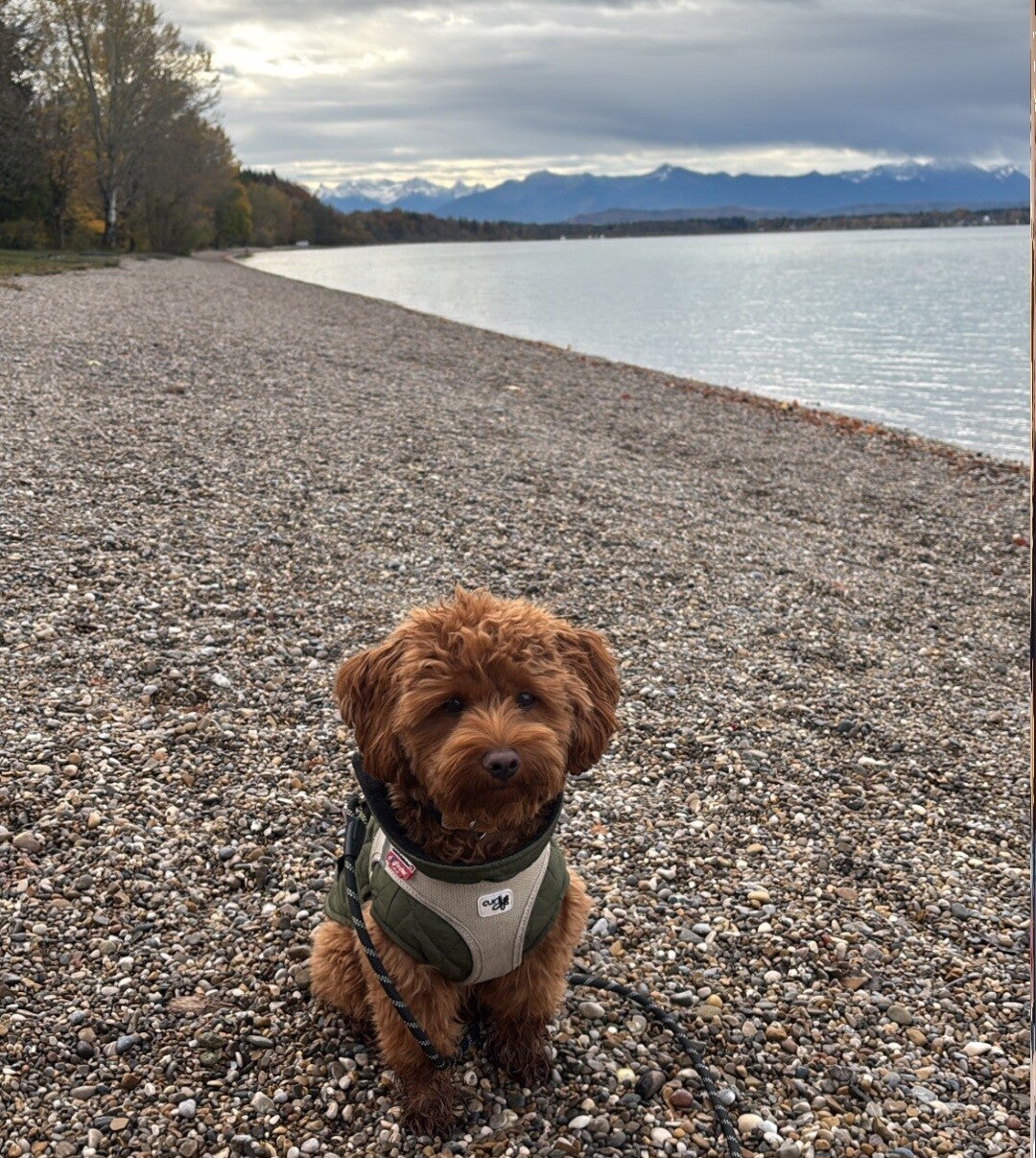 screenshot_20251025_131035_instagram-standard-uf9pdr.jpg