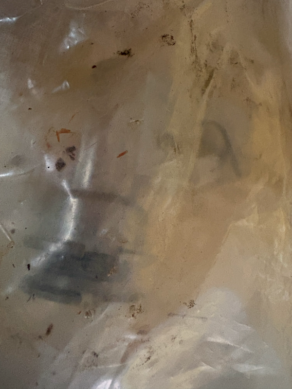 Opel Rekord D Verschluß